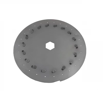 Seed disc (squash, melon, watermelon)